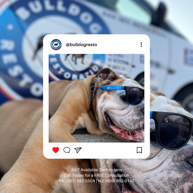 Images Bulldog Cleaning & Restoration