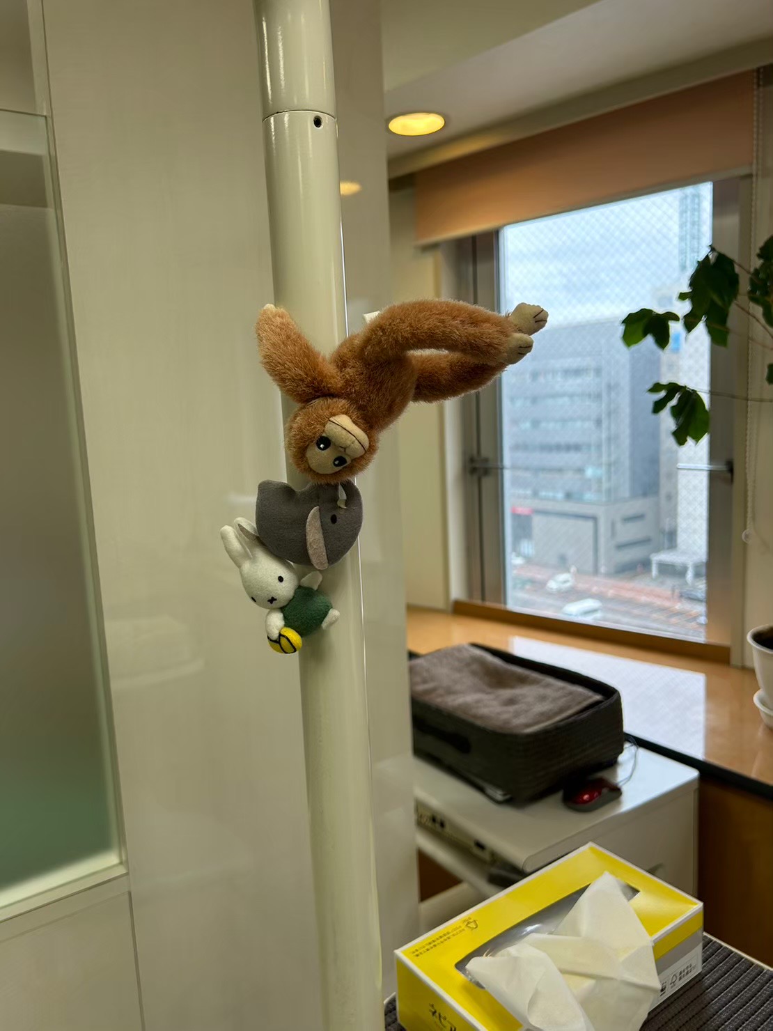 Images こばやし矯正歯科クリニック