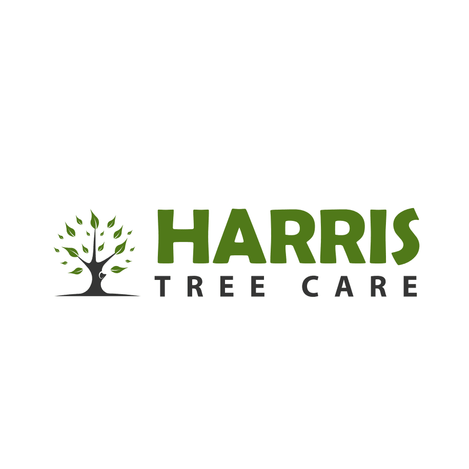 LOGO Harris Tree Care Ltd Taunton 07736 642453