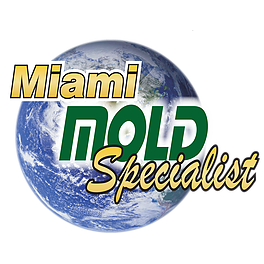 Miami Mold Specialist