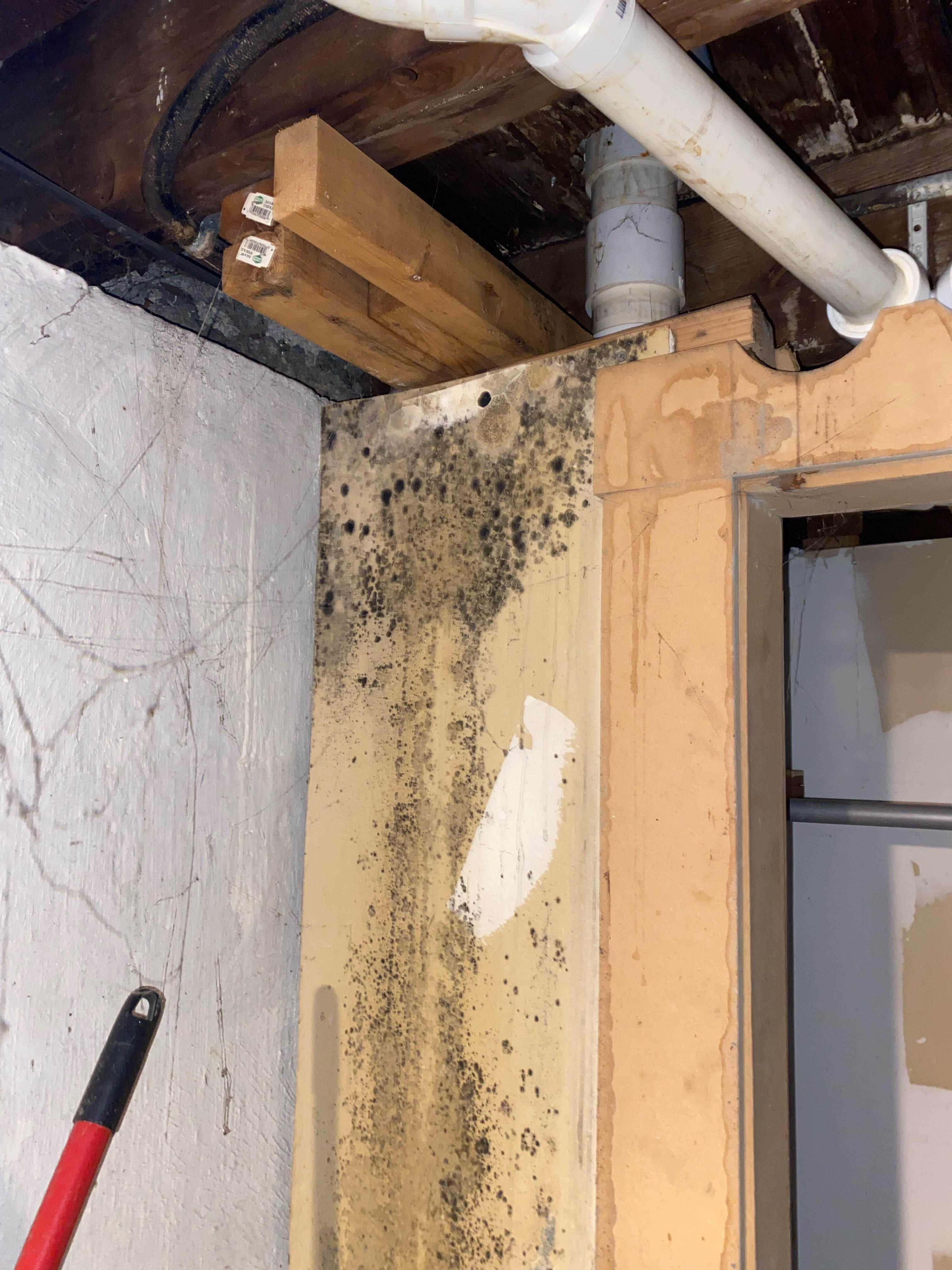 You can rely on SERVPRO of Providence for all of your mold damage cleanup and remediation needs in Olneyville, RI. Give us a call!