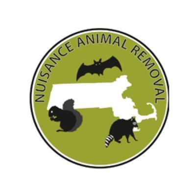 Nuisance Animal Removal South Easton (508)284-7932