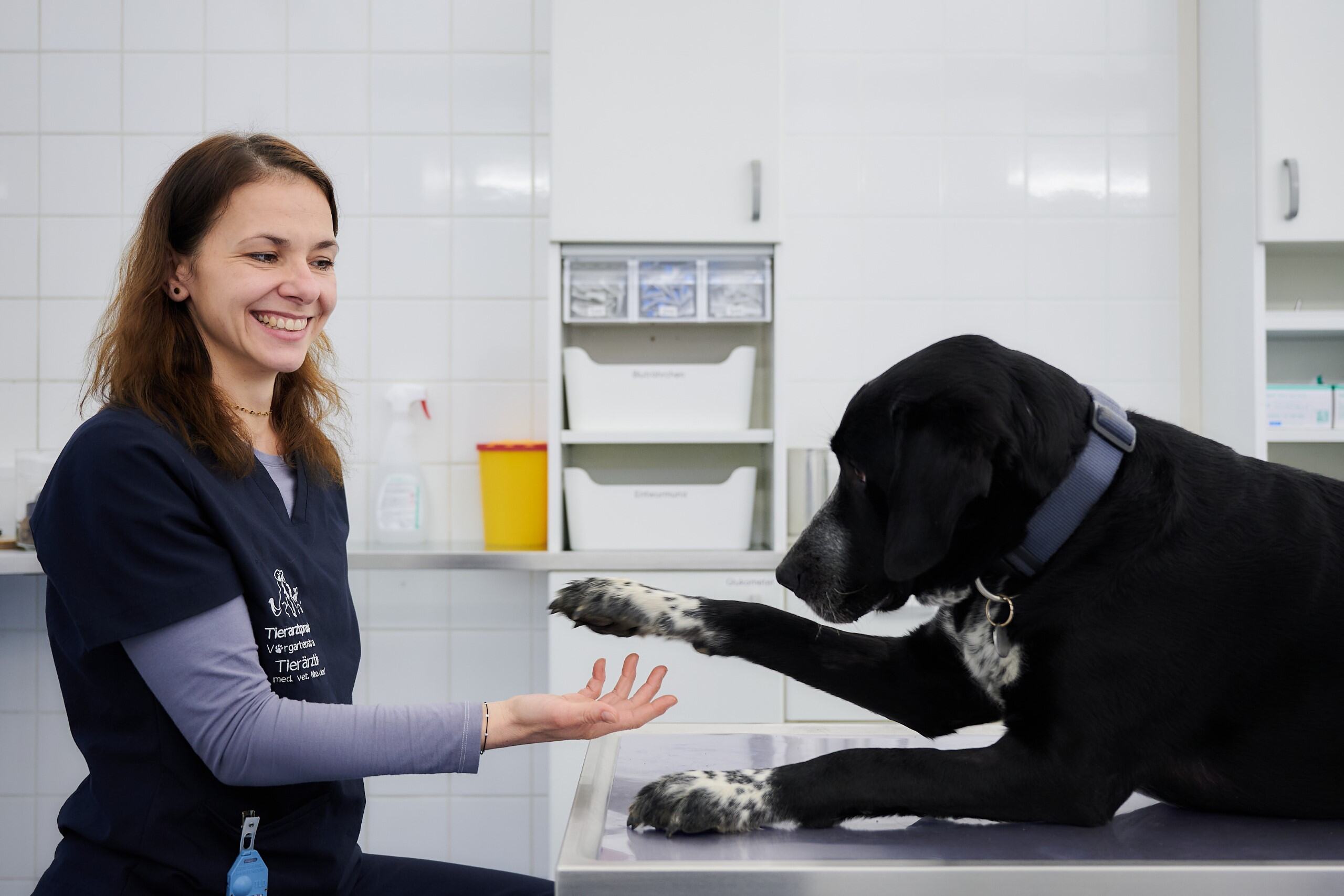Bild 6 von Tierarztpraxis Vorgartenstraße