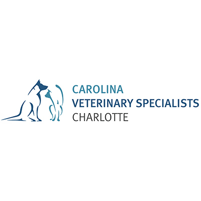 Carolina Veterinary Specialists Charlotte