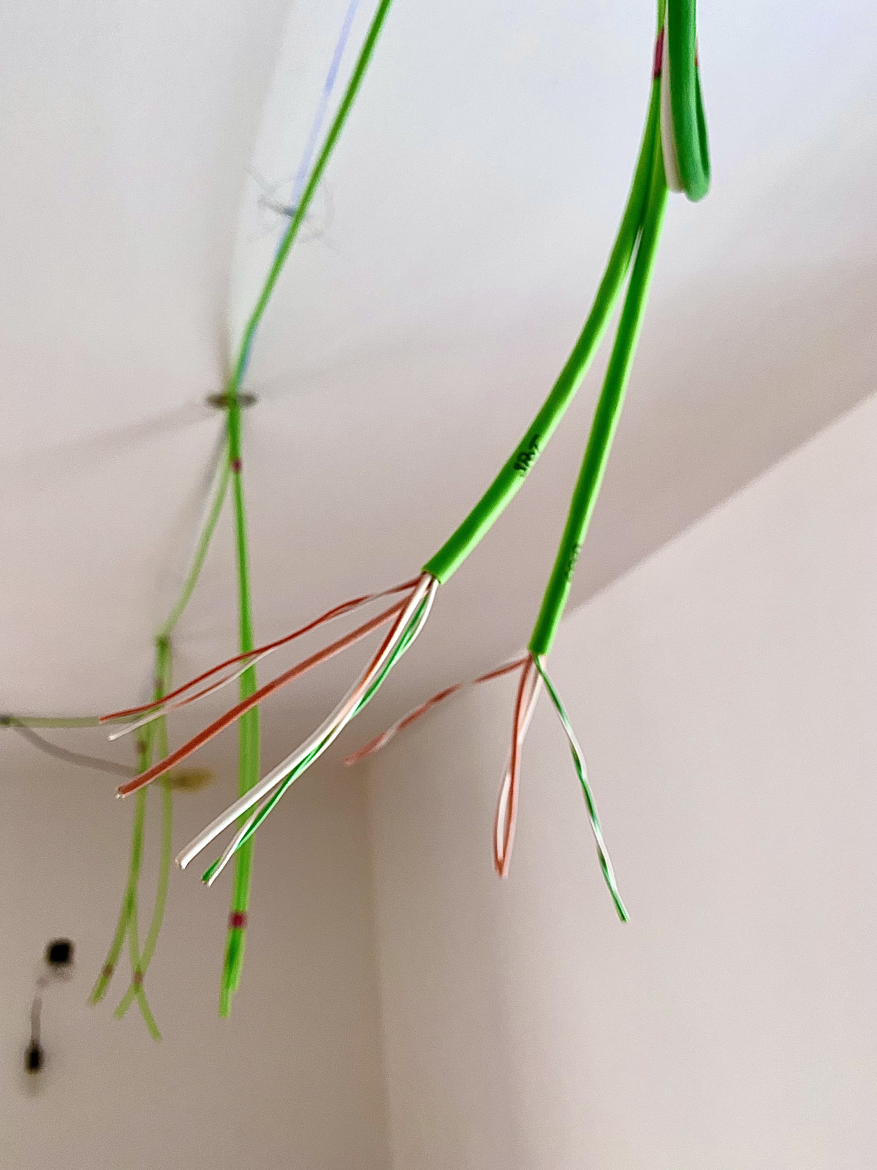 Bild 17 von Elektro Brica