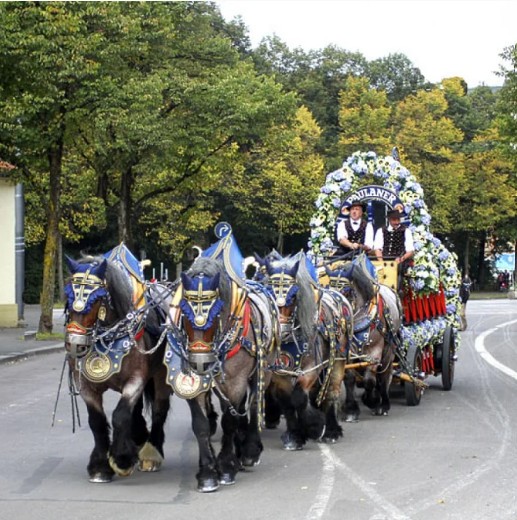 Bilder Traditionsgasthof Alpenrose