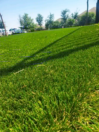 Images Purchase Green Artificial Grass