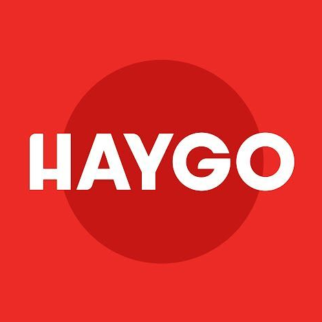 Logo Haygo Elektro- Outlet