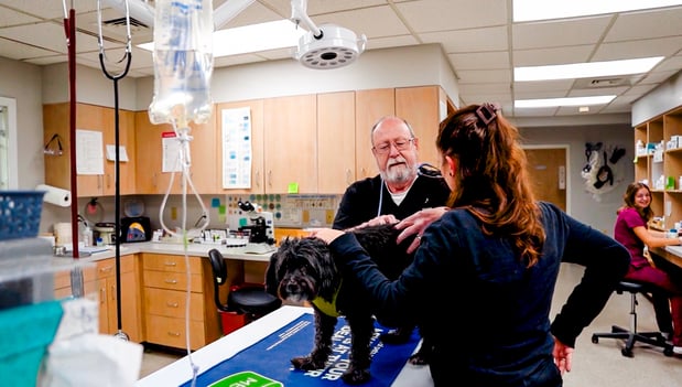 Images Floral Parkway Animal Hospital