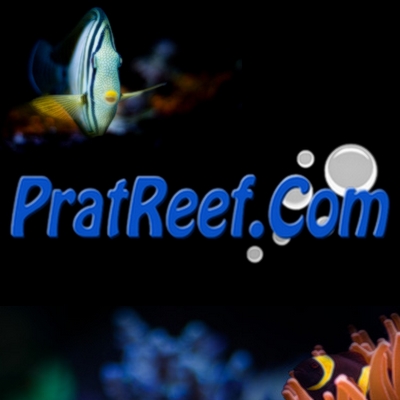 PratReef Logo
