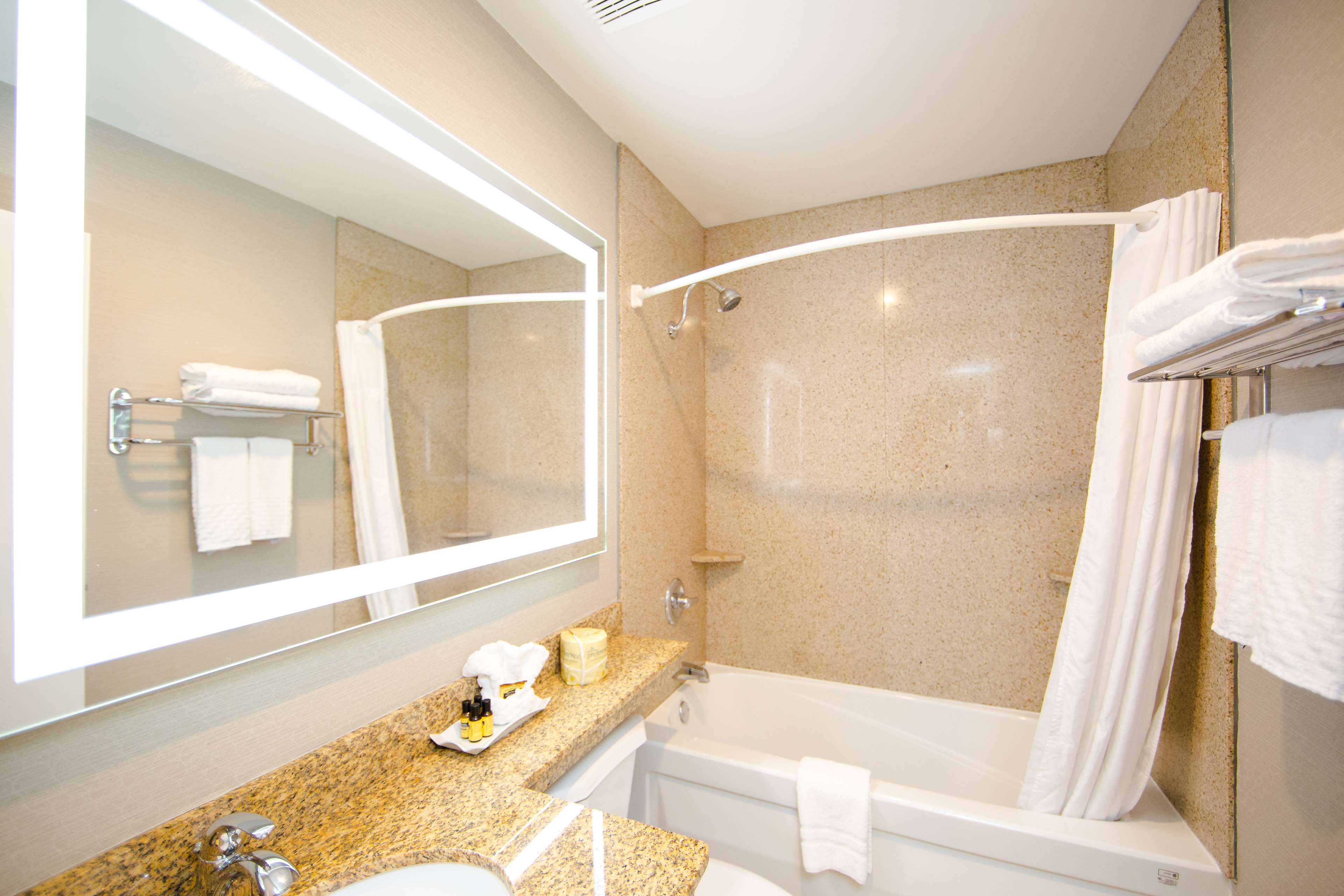 Bathroom King Room Best Western Plus Ottawa Kanata Hotel & Conference Centre Ottawa (613)828-2741