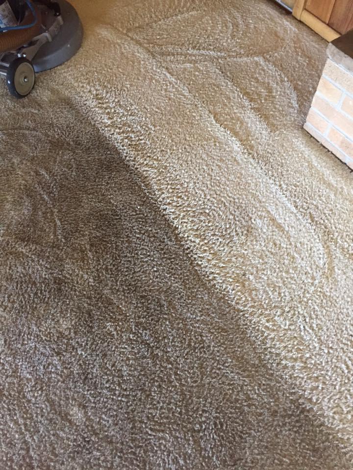 Brandon SD carpet cleaners