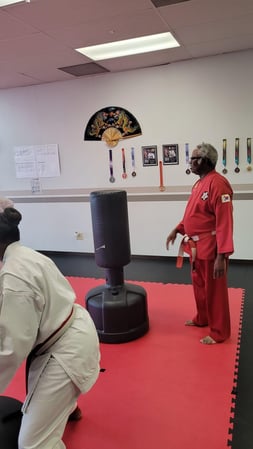Images Jaguar Dojo