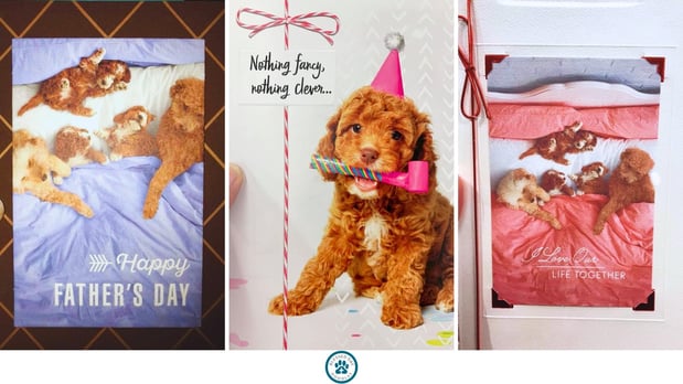 Images Blessed Day Doodles