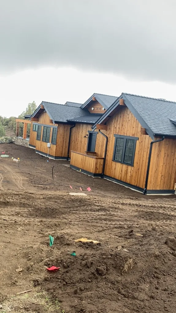 WHITE STALLION Image