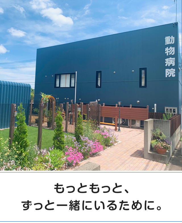 Images K-アニマルクリニック