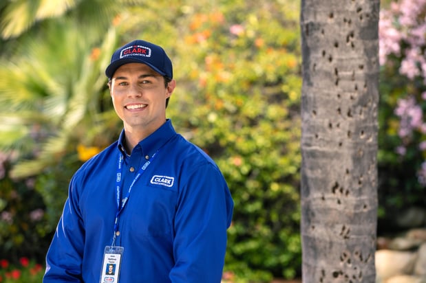 Images Clark Pest Control