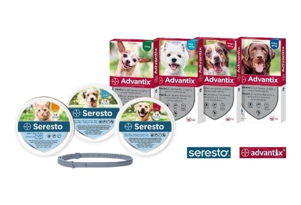 Images Centrofauna Veterinaria