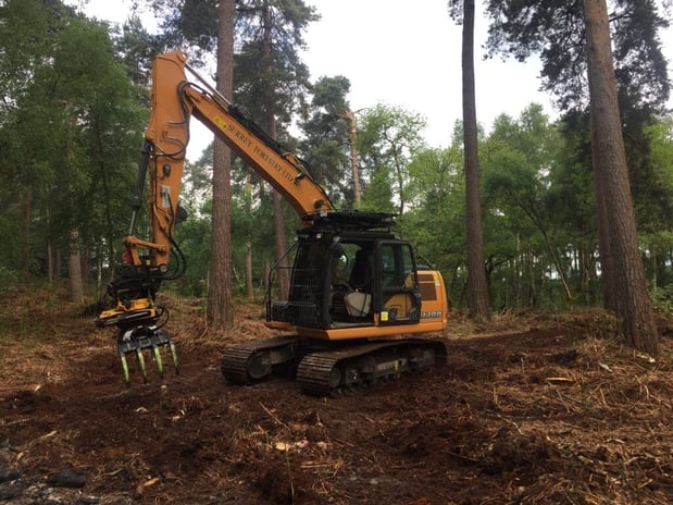 Images J.P. Sitework