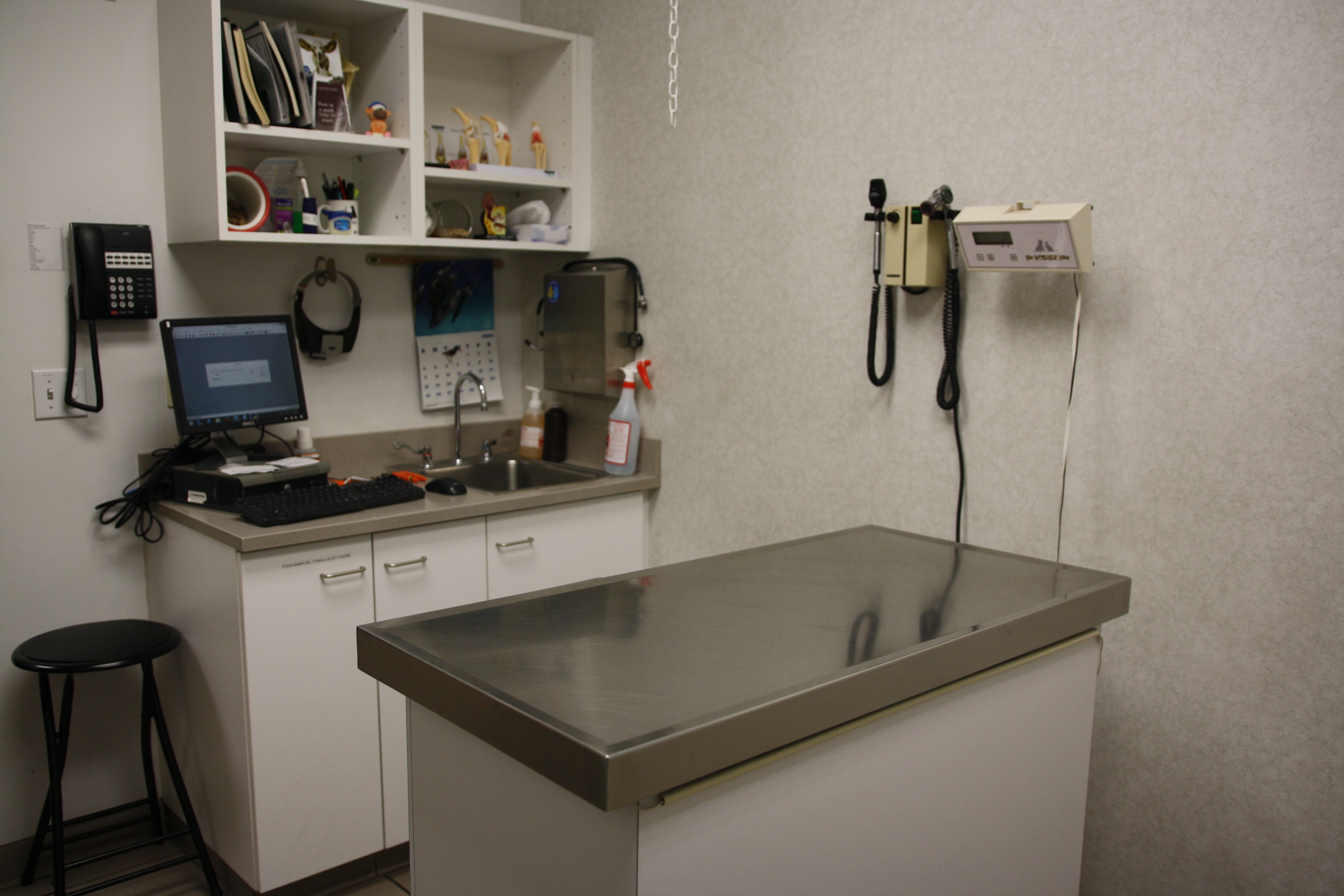 This is one of our exam rooms, where we perform regular wellness exams. At South Putnam Animal Hospital, we recommend at least one yearly wellness exam so that our doctors and technicians can provide and maintain the best treatment possible for your pet.
