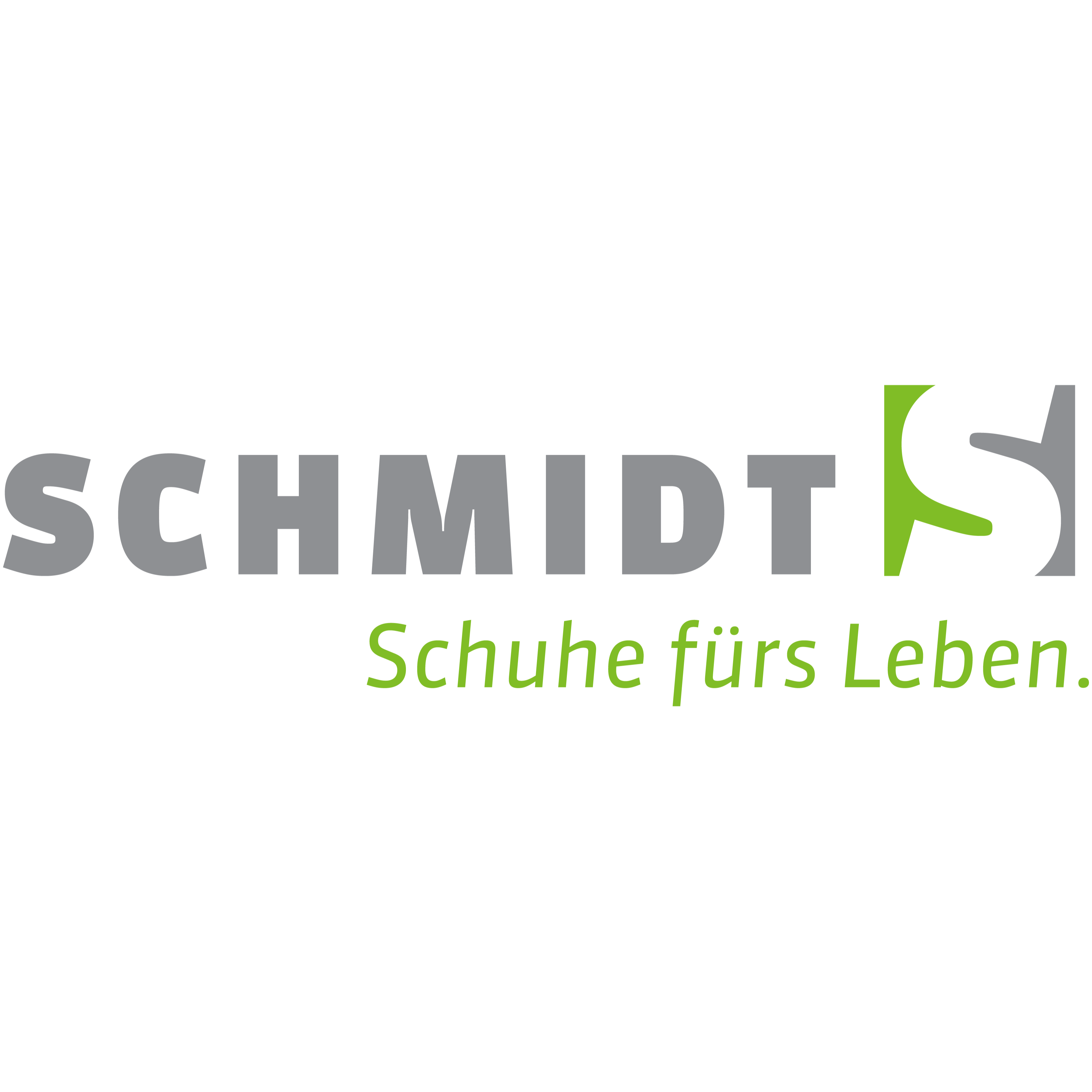 Logo Schuhhaus Schmidt KG