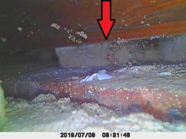 Images Damp Detectives