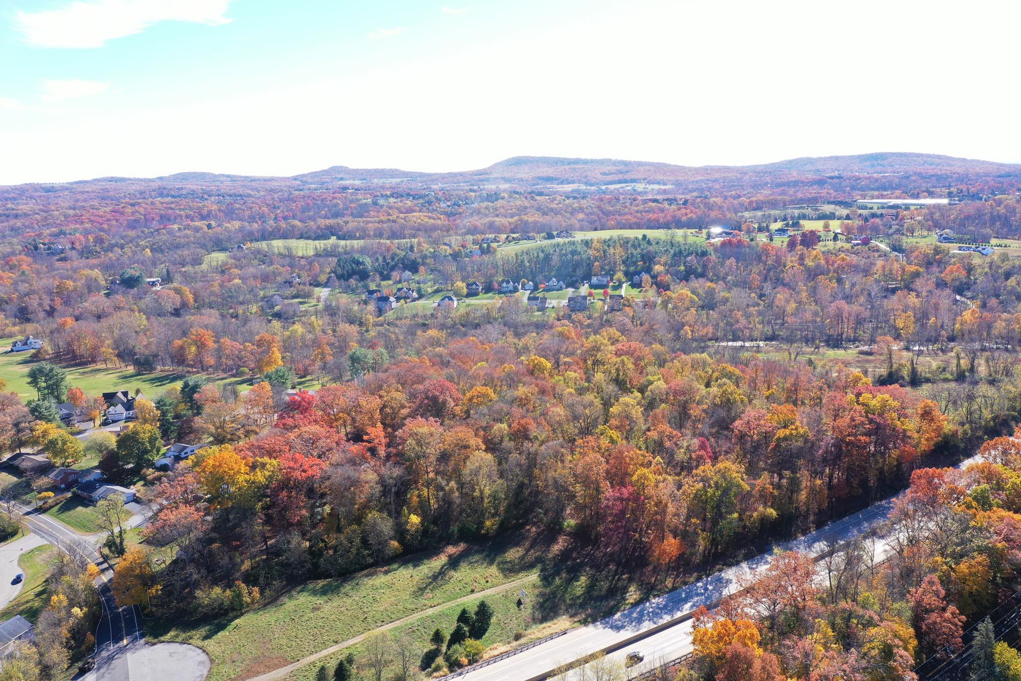 Michaux Drone Services Logo