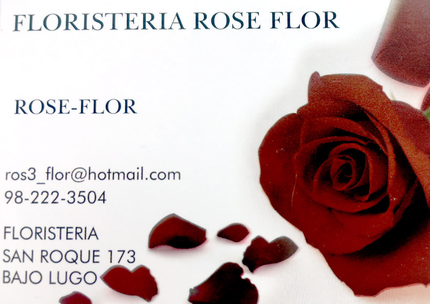 Images Floristería Rose Flor