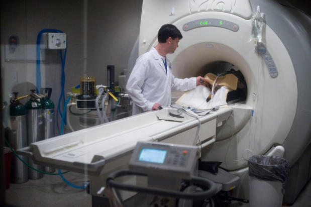 Images Bush Veterinary Neurology Service (BVNS) - Rockville