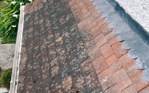 Gutter Cleaning