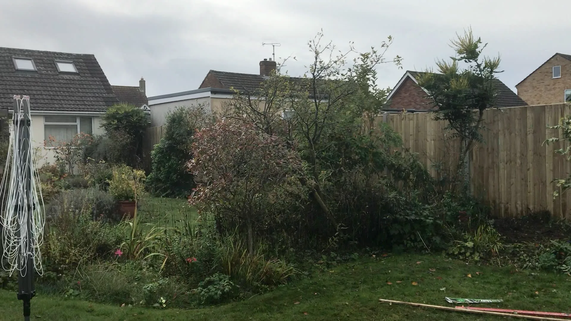 Images Wincanton Tree Care