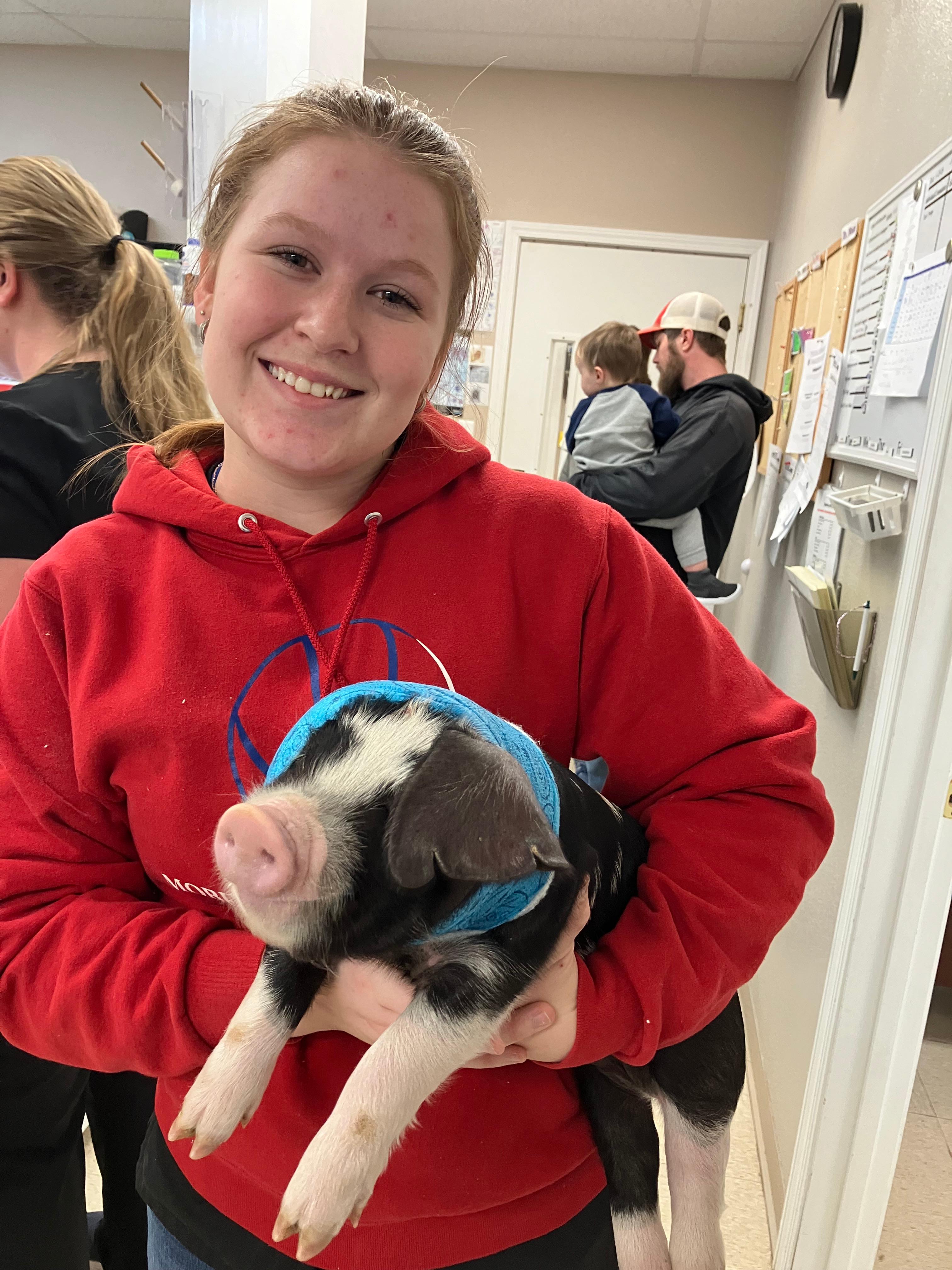 Our team member with an adorable piggy patient