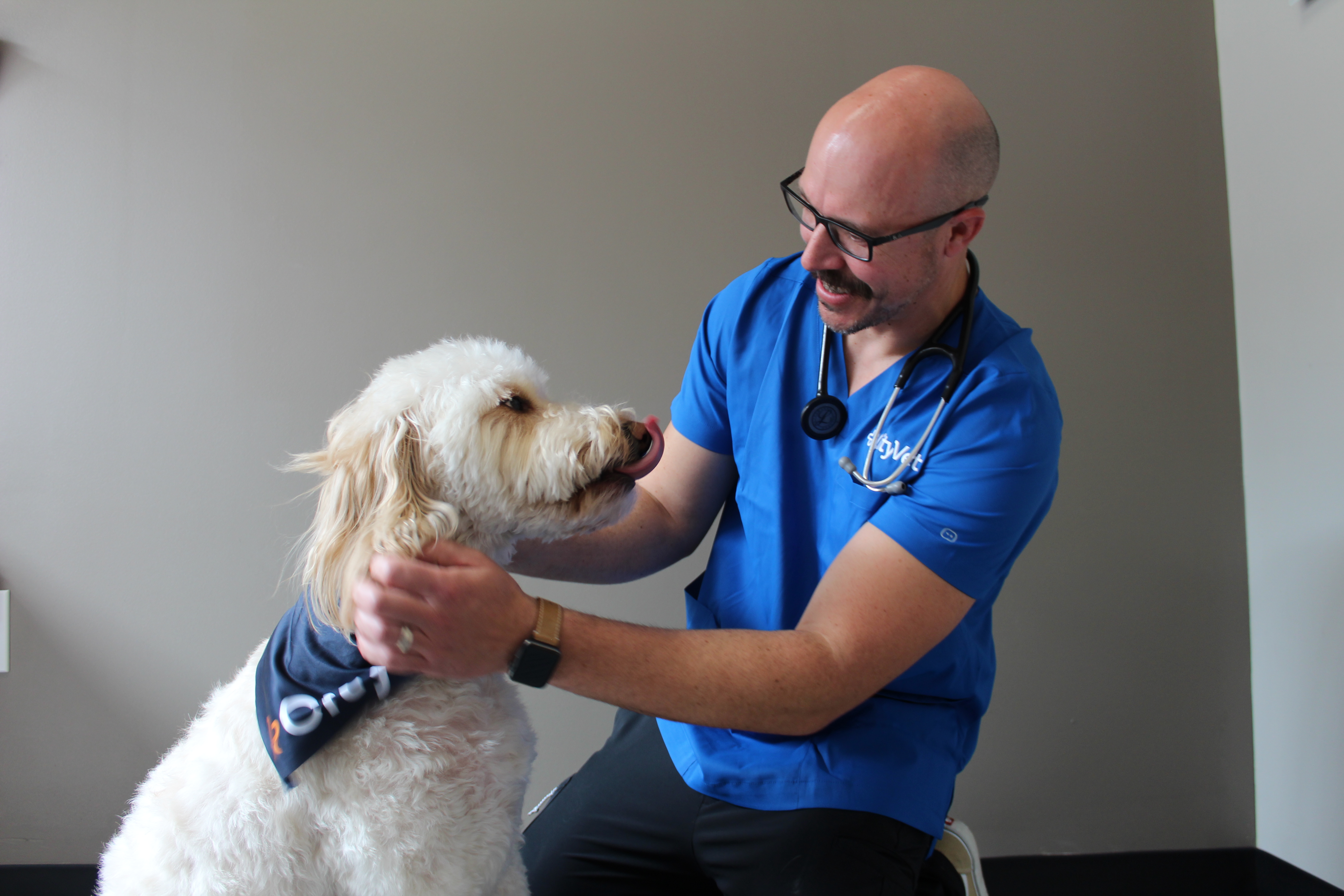 CityVet | Murphy Image