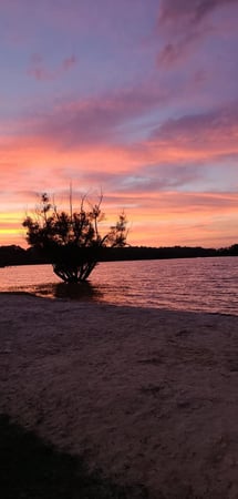 Images McGee's Landing