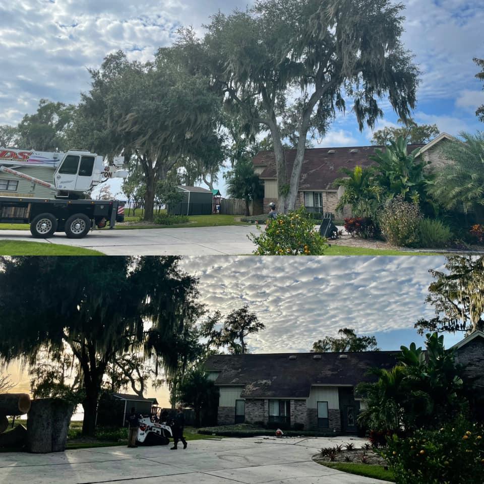 Northeast Florida Tree Experts LLC