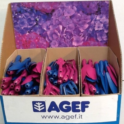 Images Agef