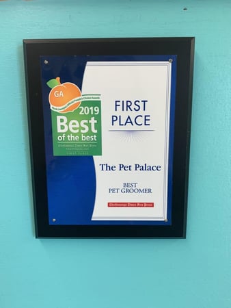 Images Pet Palace
