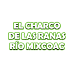 El Charco De Las Ranas Río Mixcoac Logo