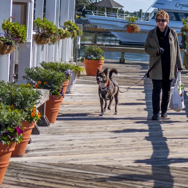 Images Fran Pigott Harding Real Estate