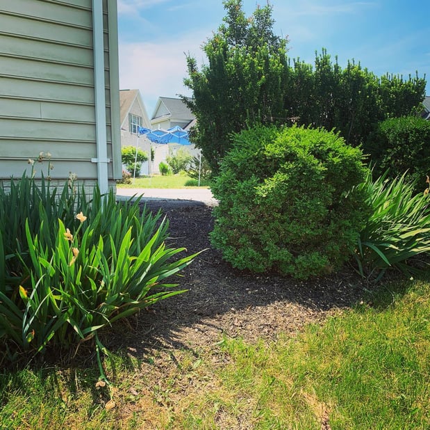 Images Barr Landscaping