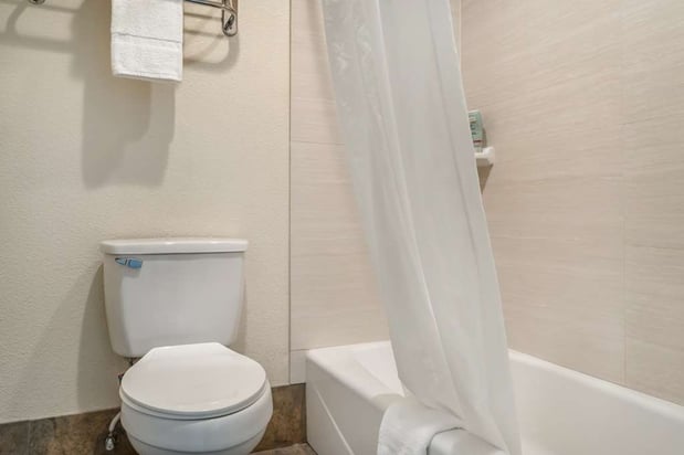 Images Best Western Padre Island