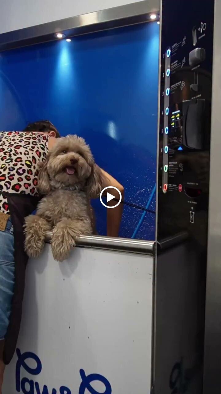 Images Paw&Go - Autolavado de perros y peluquería canina