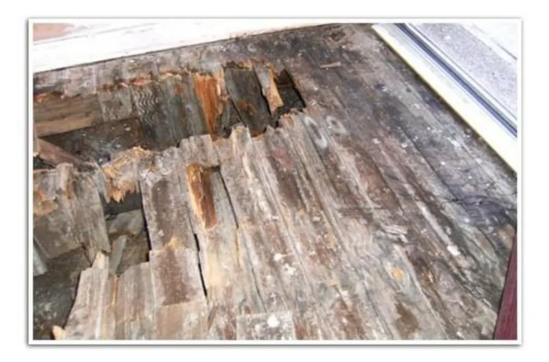 Images Essex & Anglia Preservation Ltd