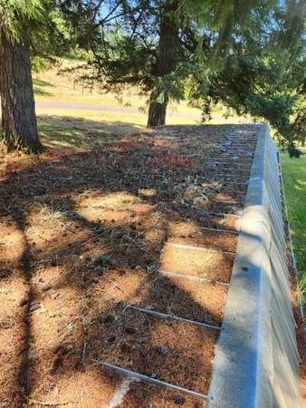 Images NJM Roof & Gutter Cleaning