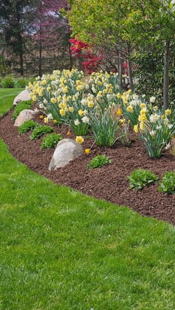 Images Dubons Landscaping LLC