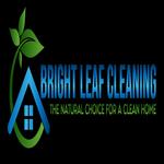 Bright Leaf Cleaning Logo