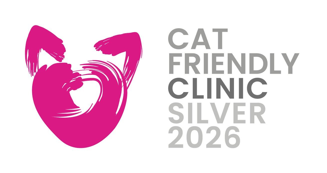 Medivet Tierarztpraxis Münster - GALLERY