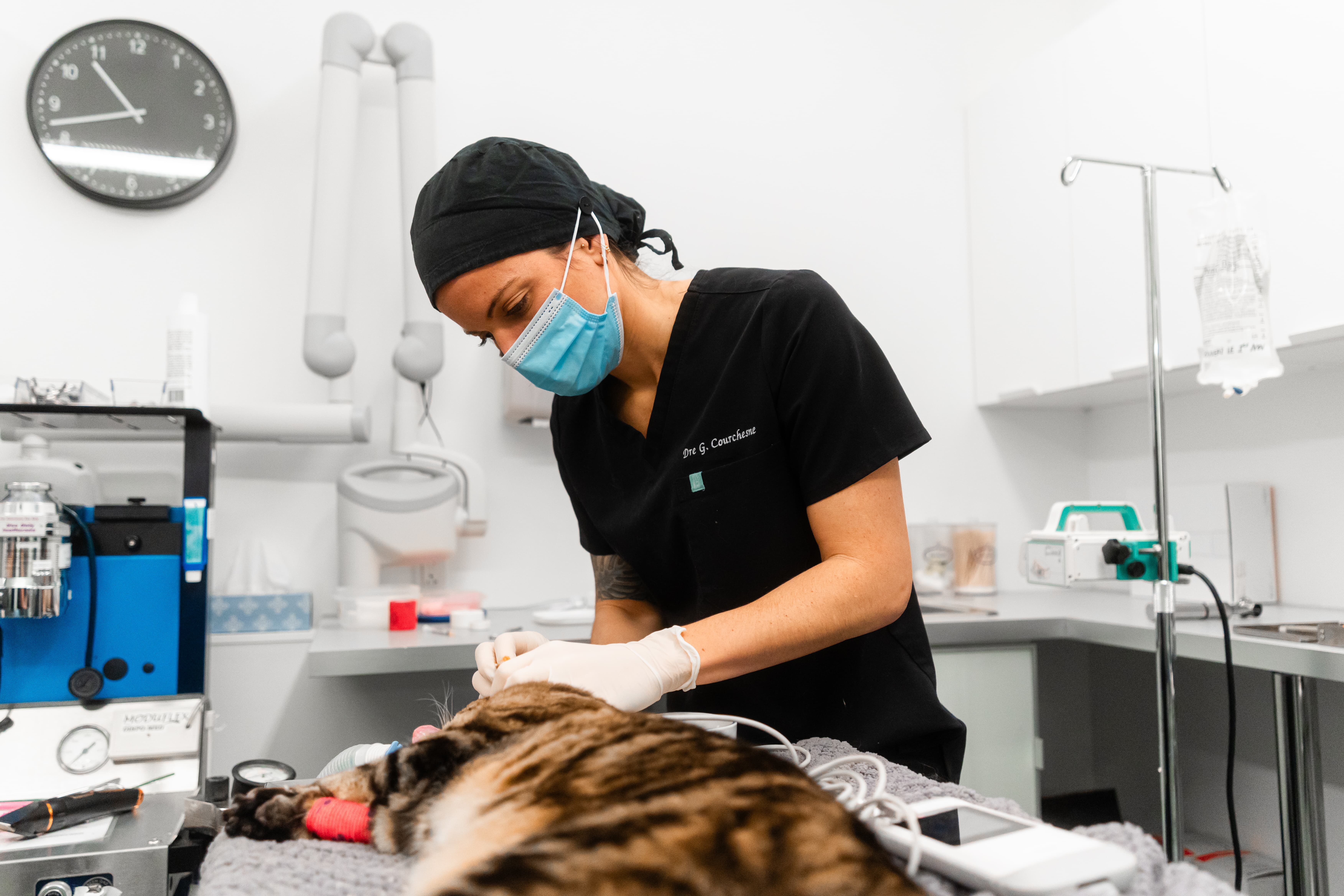 Images Clinique Vétérinaire Quartier Dix30