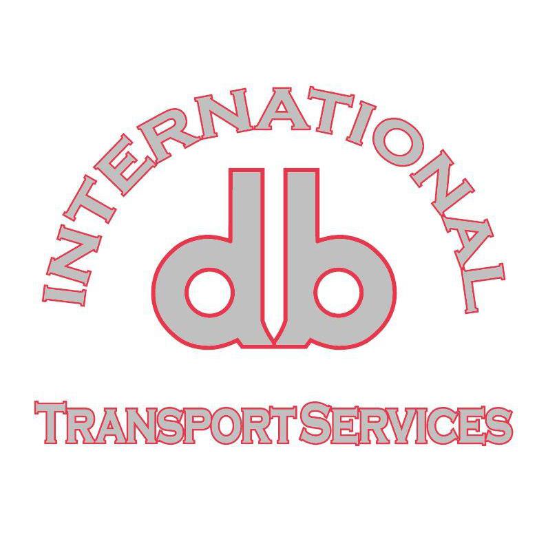 D.B International Logo