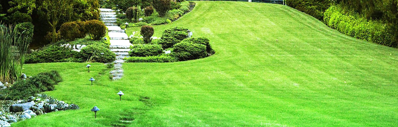 Bilder Martin Epple Garten- und Landschaftsbau